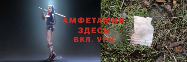 трава Аркадак