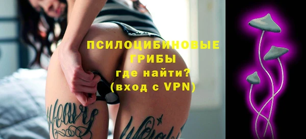 ГАЛЛЮЦИНОГЕННЫЕ ГРИБЫ Зеленокумск