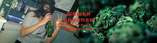 трава Аркадак
