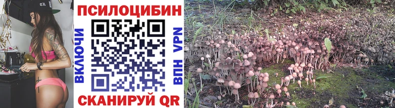 Псилоцибиновые грибы Psilocybine cubensis Краснослободск